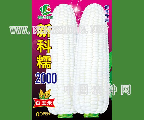 新科糯2000